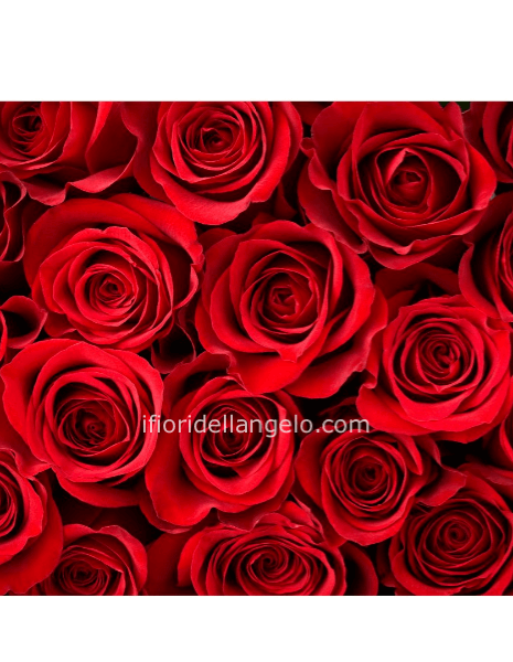 ROSE ROSSE DA COMPORRE IN MAZZO PER NUMERO DI STELI